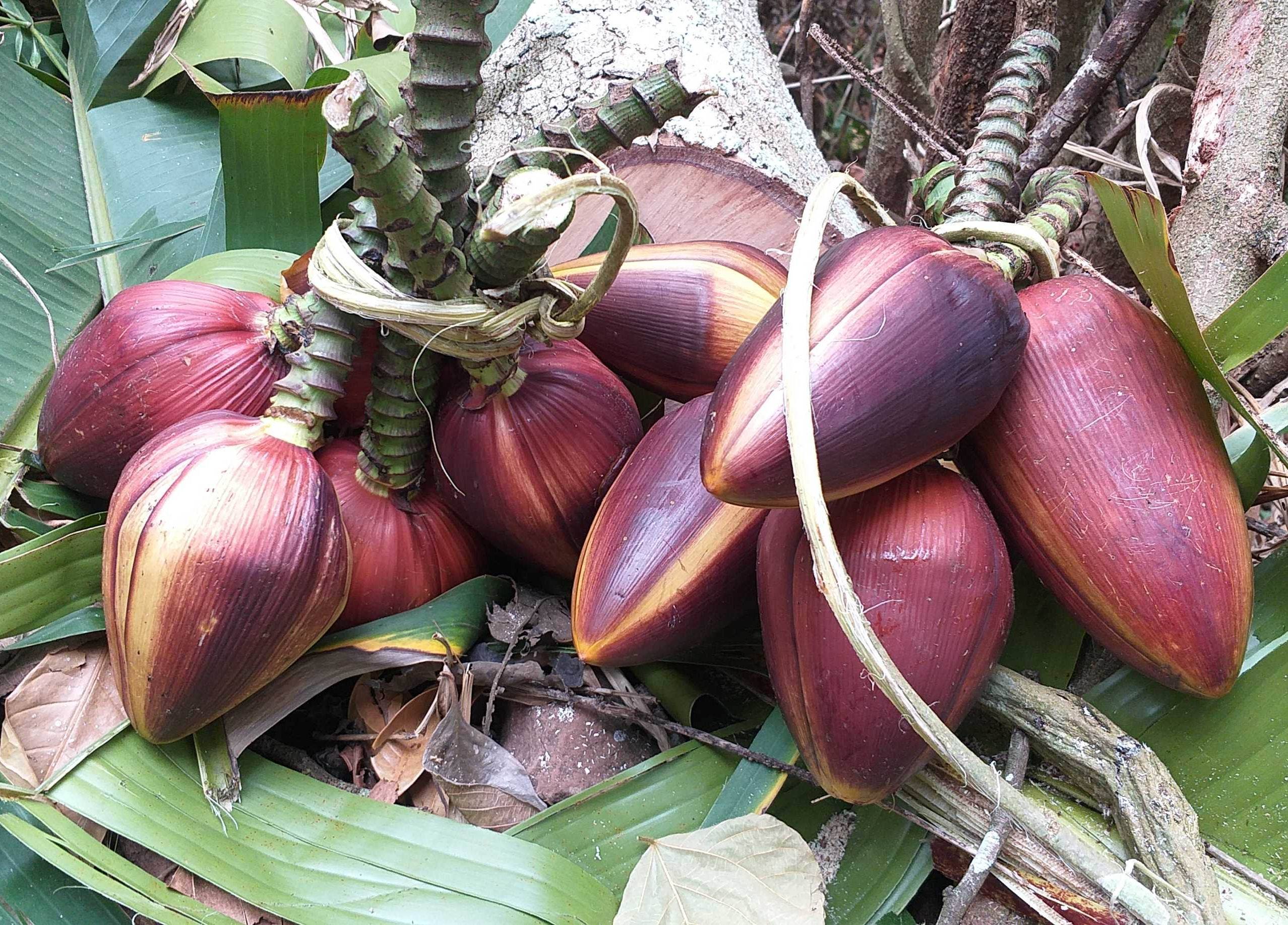 飞进自然好心情文周延锋现代诗歌美文美图
