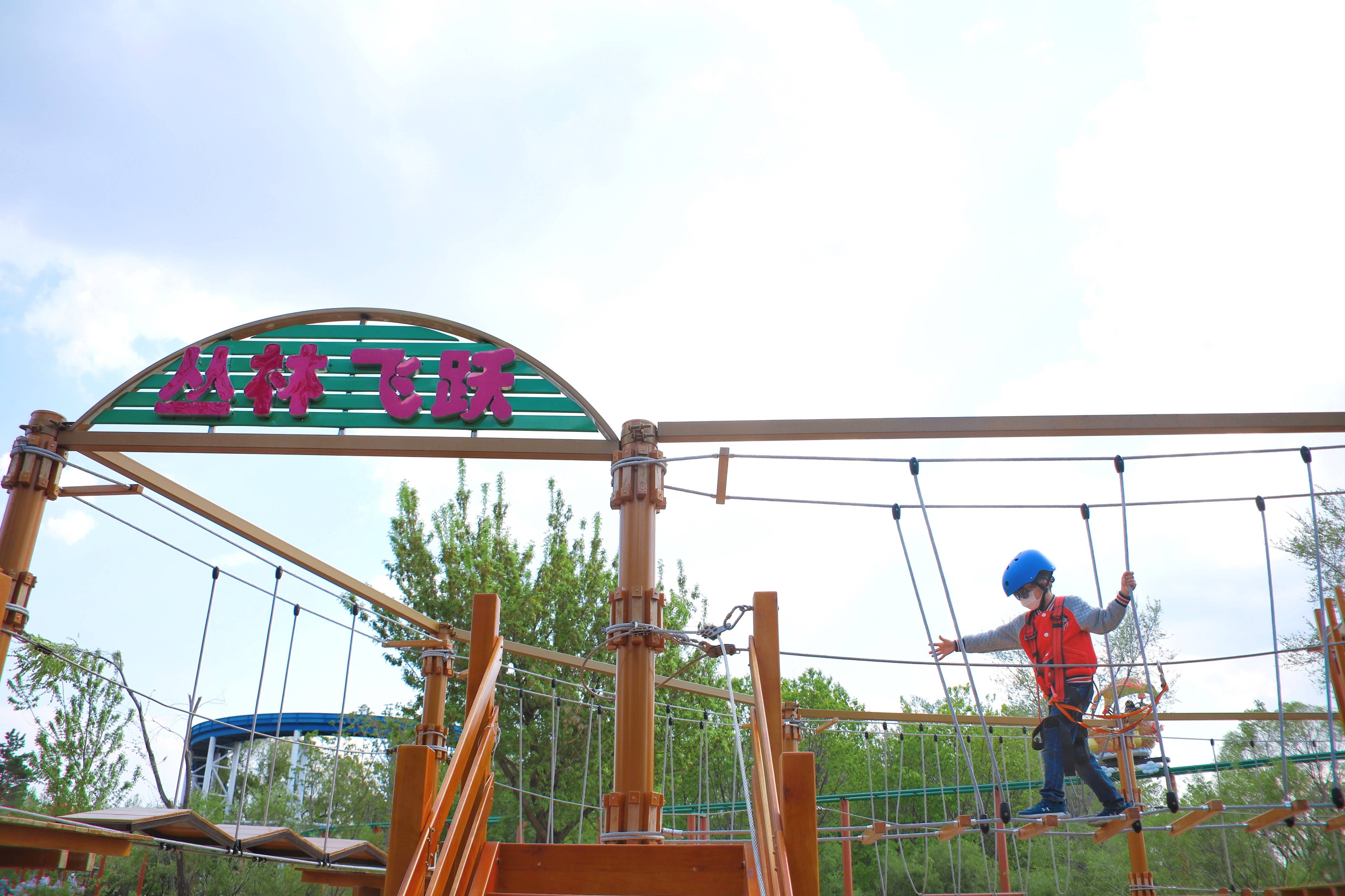 去太阳岛笨熊乐园带上这份指南让你乘兴而至快乐而归