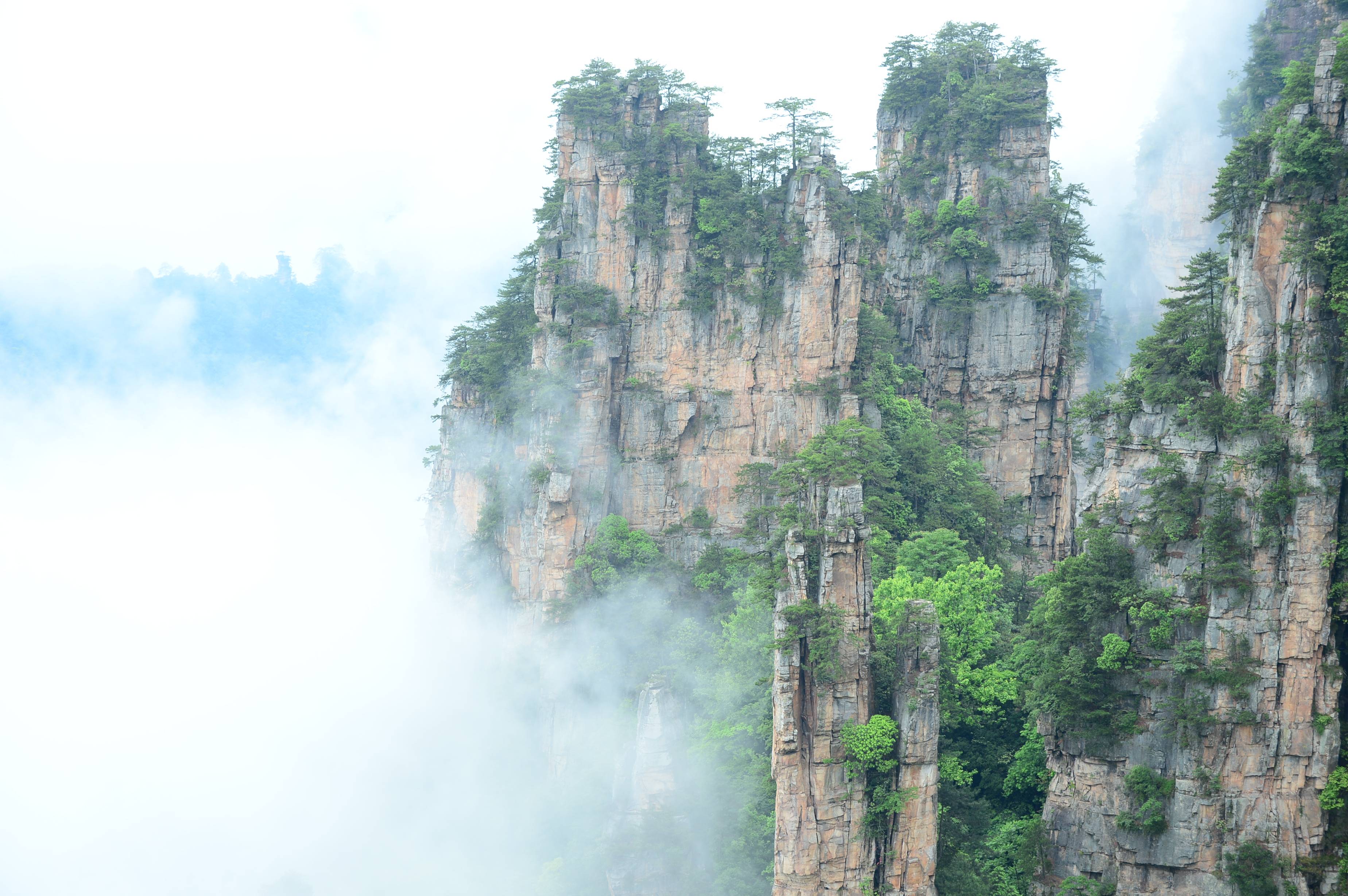 天子山云海图片