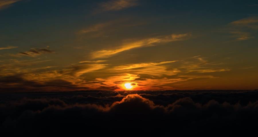 今年618家电市场价格将“血战到底”?-家电圈官网