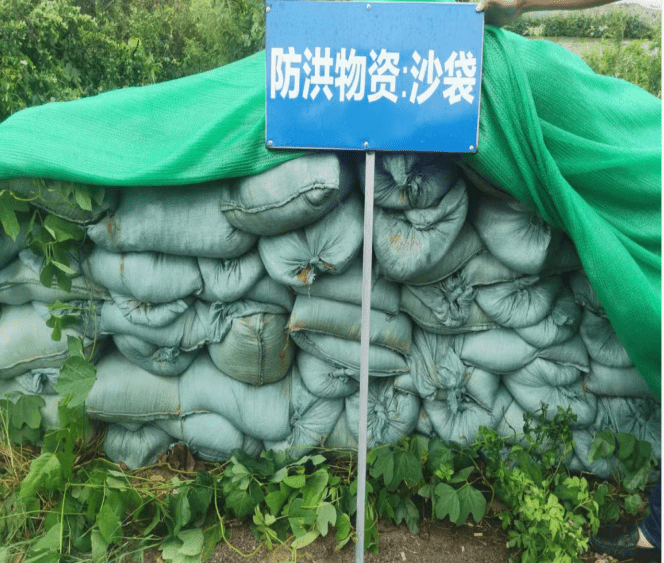 采取了加固临时工程,覆盖临时弃土,疏浚,备足防洪物资,完善防护设施