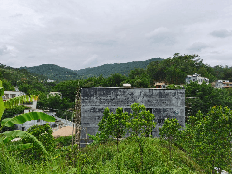 信宜市东镇街道凤岗村金交椅形势说明