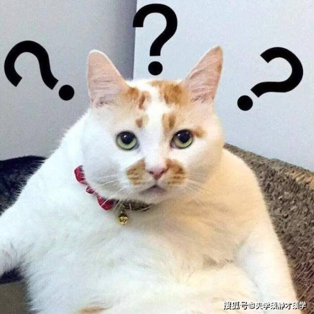 每日一笑:丈母娘对我说道:小伙子,你人不错,你还是和我女儿分手吧!