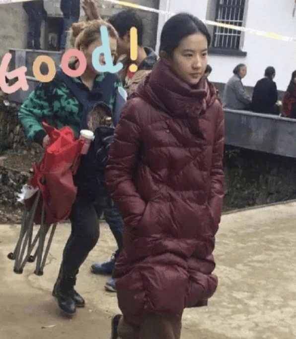 刘亦菲一件羽绒服穿十年网友调侃这件衣服救过你的命吗