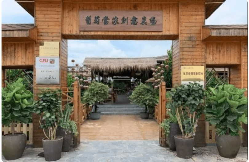 万江葡萄当家创意农场