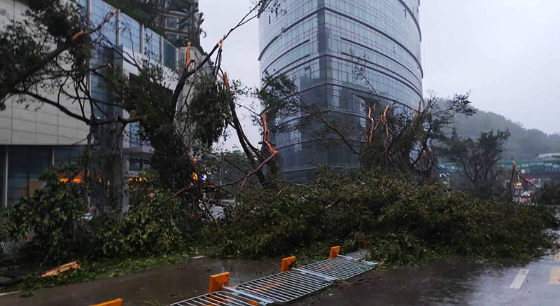 台湾第一高楼靠什么在台风中屹立不倒？就是靠这颗大球——风阻尼器！_建筑物_台北_大厦