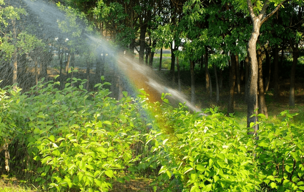 大水漫灌对作物有危害吗？_土壤_根系_死亡