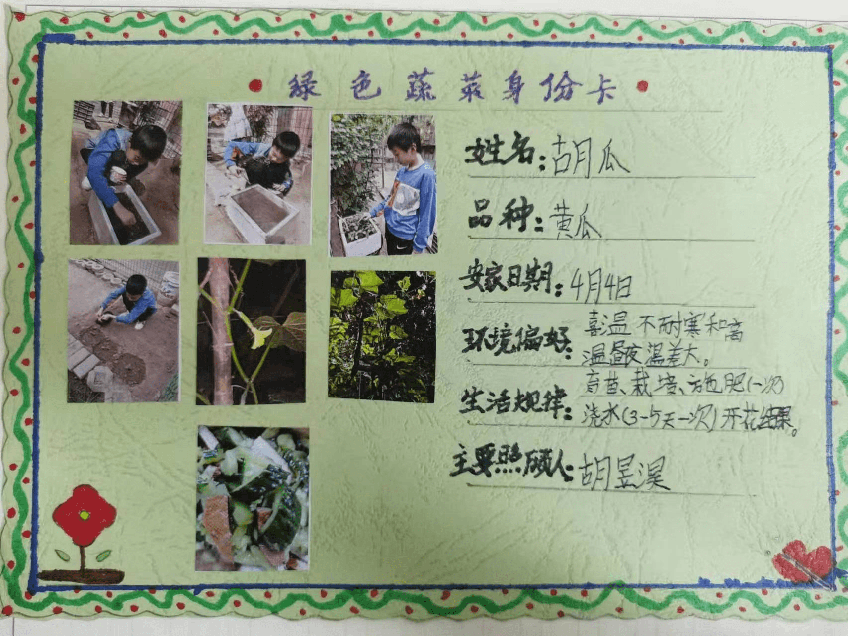 与劳动相连68与技能作伴迎泽区第二实验小学开展制作绿色菜肴项目