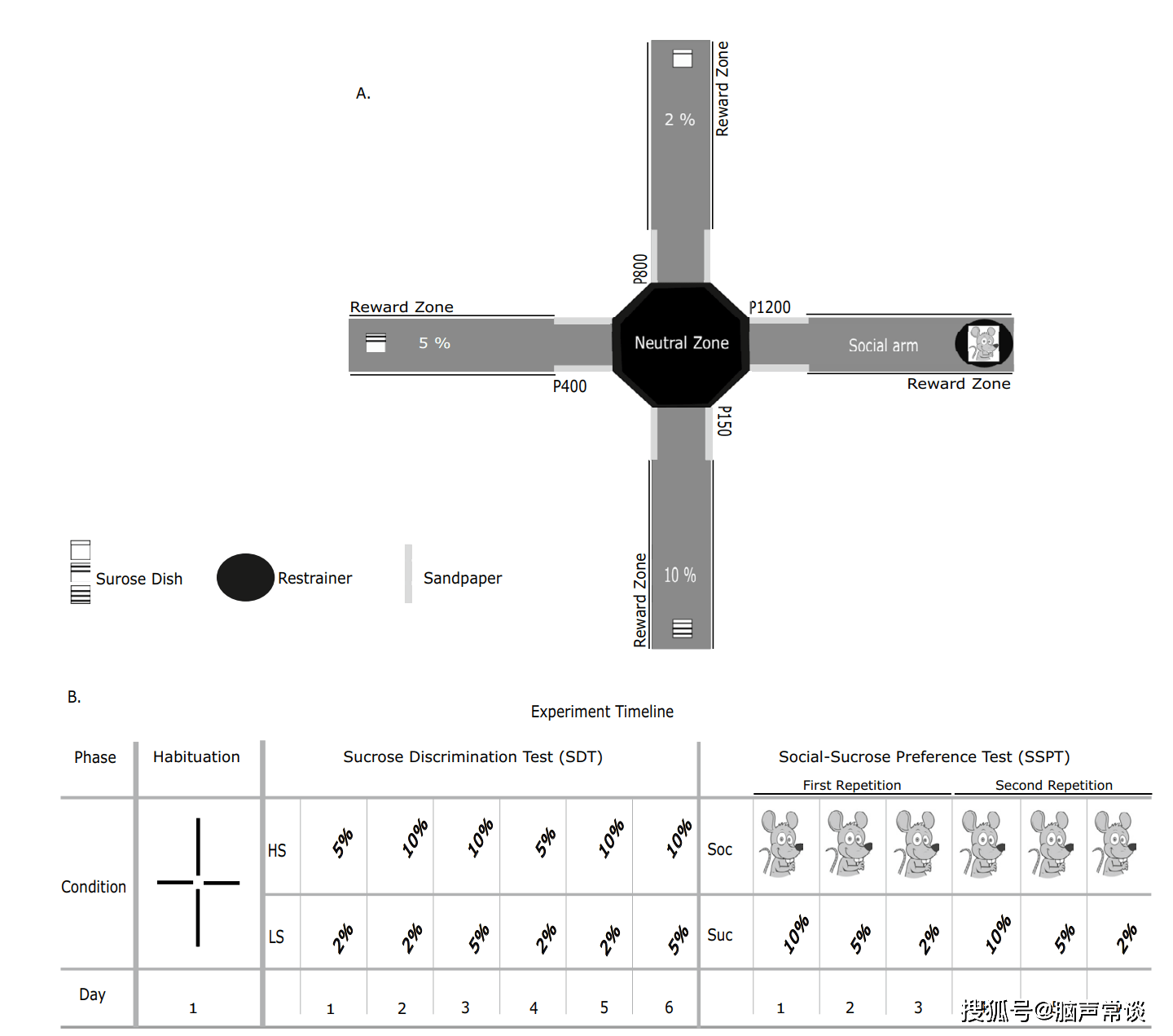 脑声常谈:大脑中disc1信号通路异常导致社会快感缺失