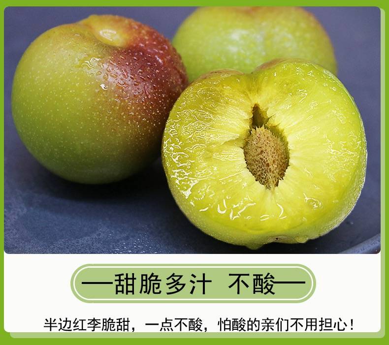 名因果实向阳面呈紫红色丹棱半边红脆李陆续成熟上市每年进入盛夏的七
