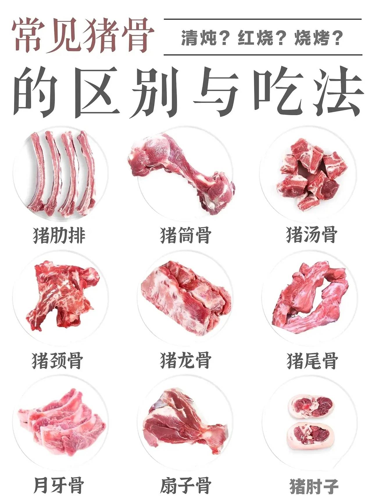 猪脊骨,猪骨头,一扇猪排骨图片(第2页)_大山谷图库