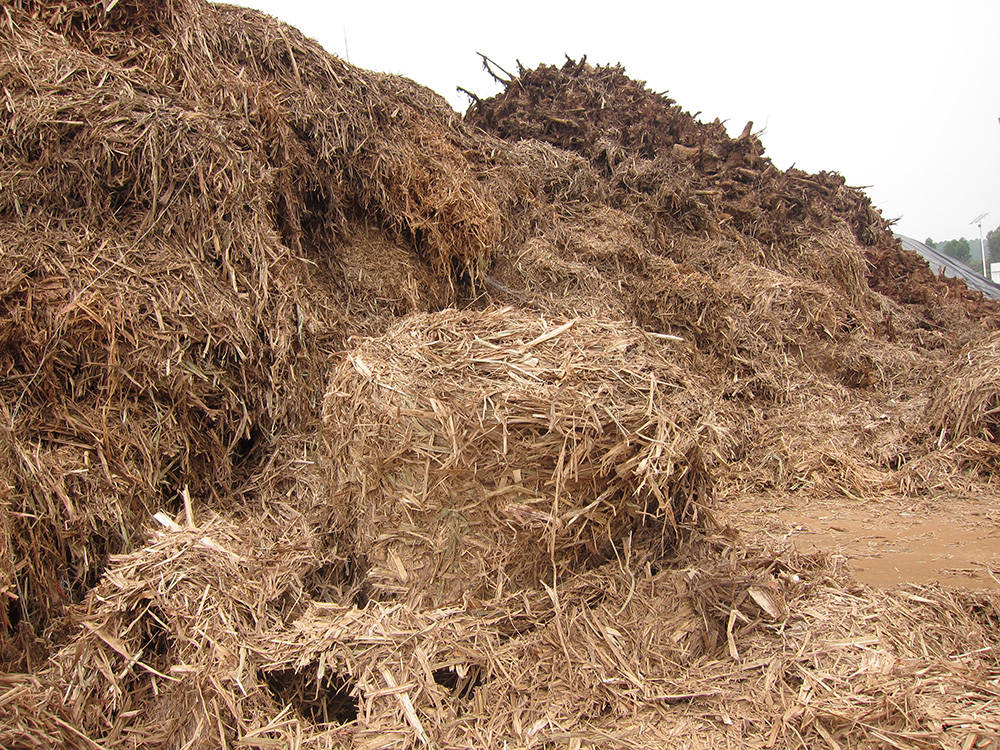新发展阶段生物能源怎么干
