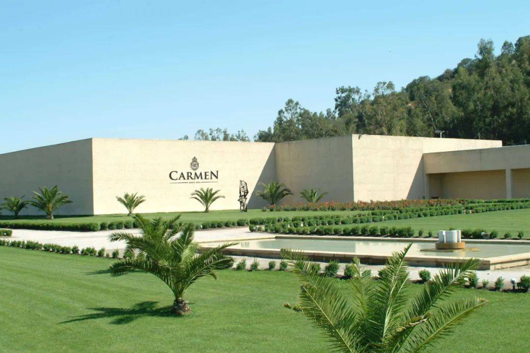 智利"十八罗汉"之一,卡乐门金牌特酿赤霞珠_酒庄_葡萄_年份