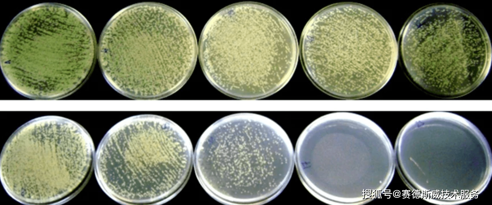 iso274472019瓷砖陶瓷抗菌测试光催化材料抗菌活性试验方法