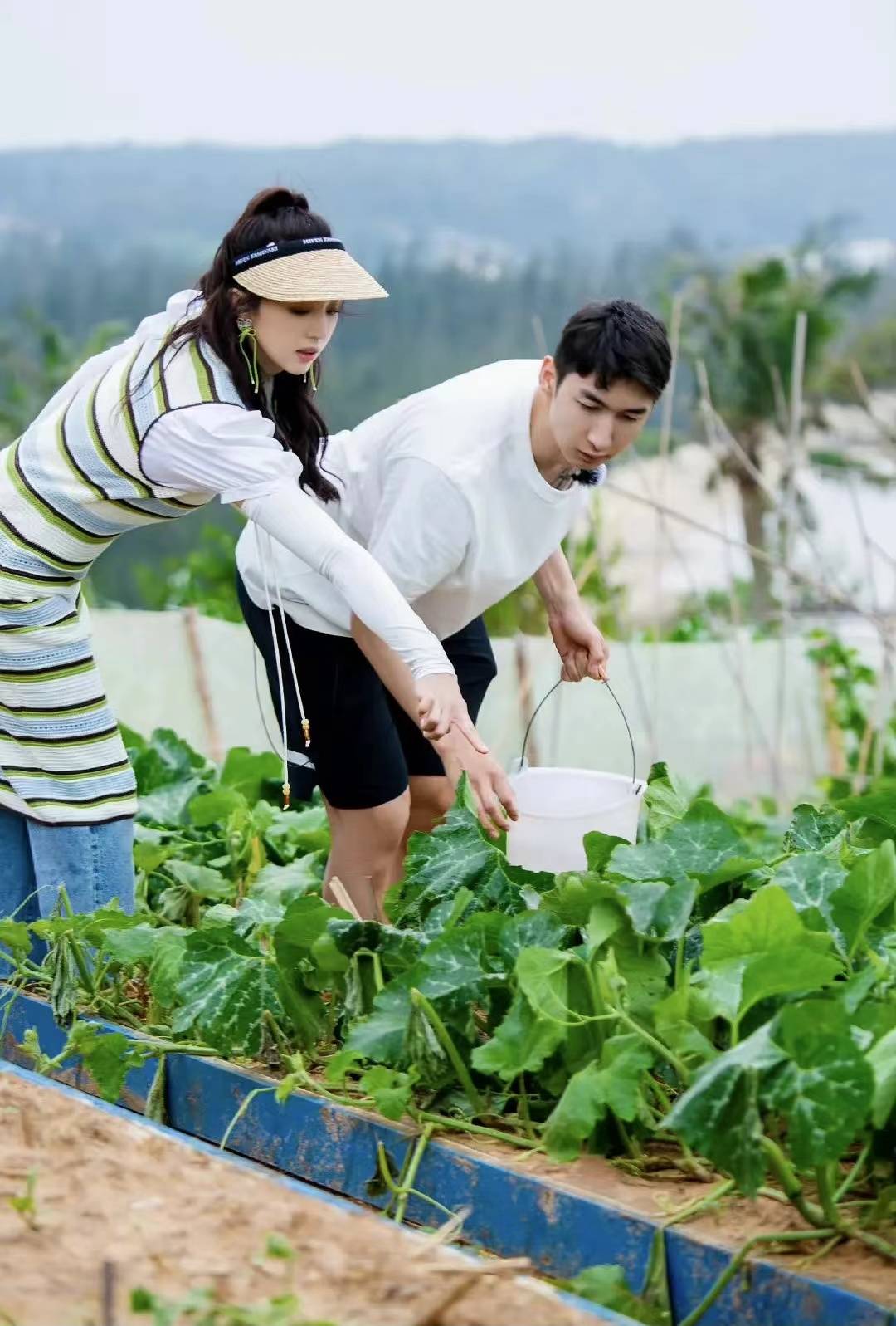 《花少4》打安全牌、《桃花坞2》尴尬,慢综艺怎么越来越难看?
