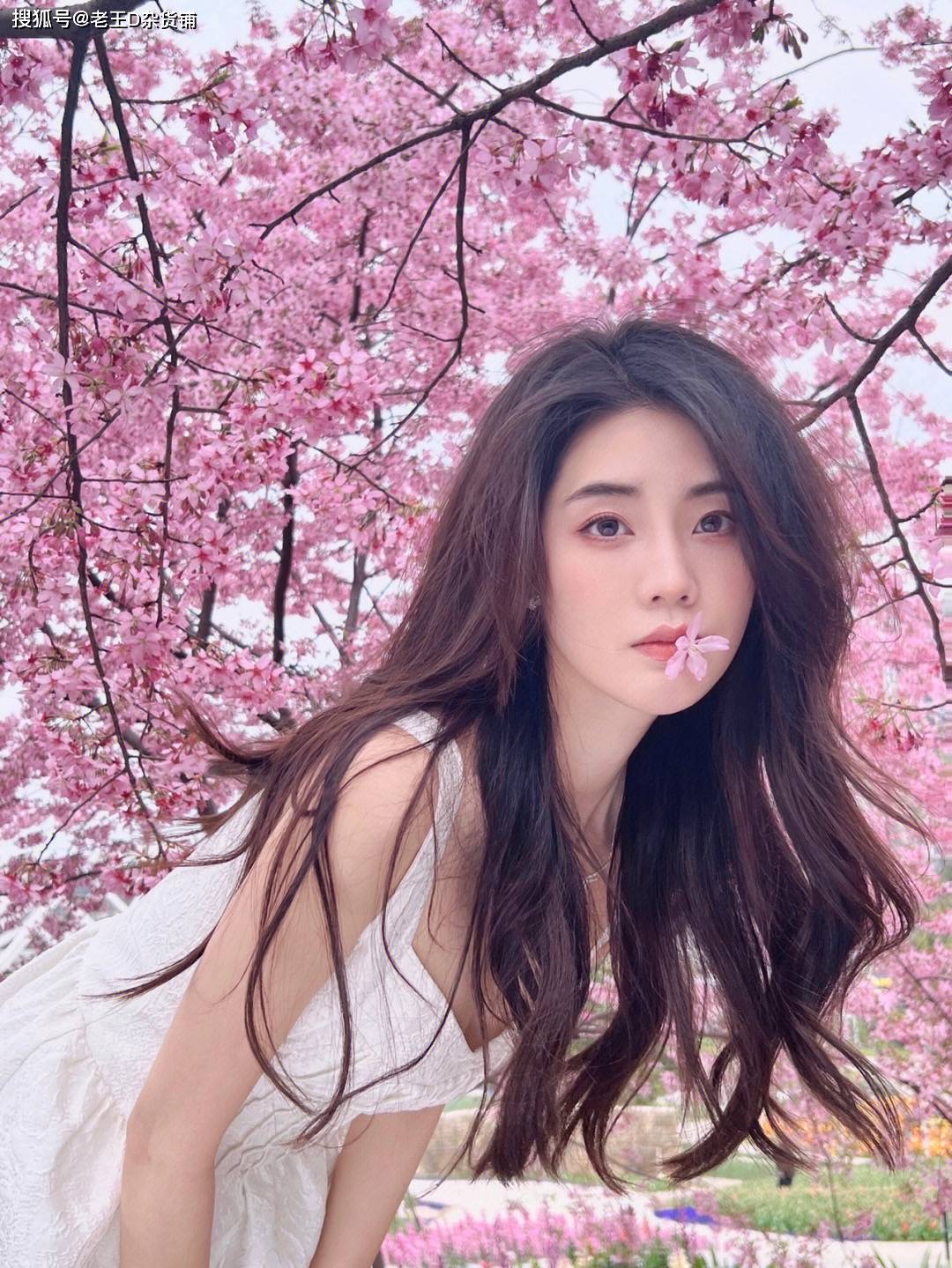 花丛佳人，花色不如美人色