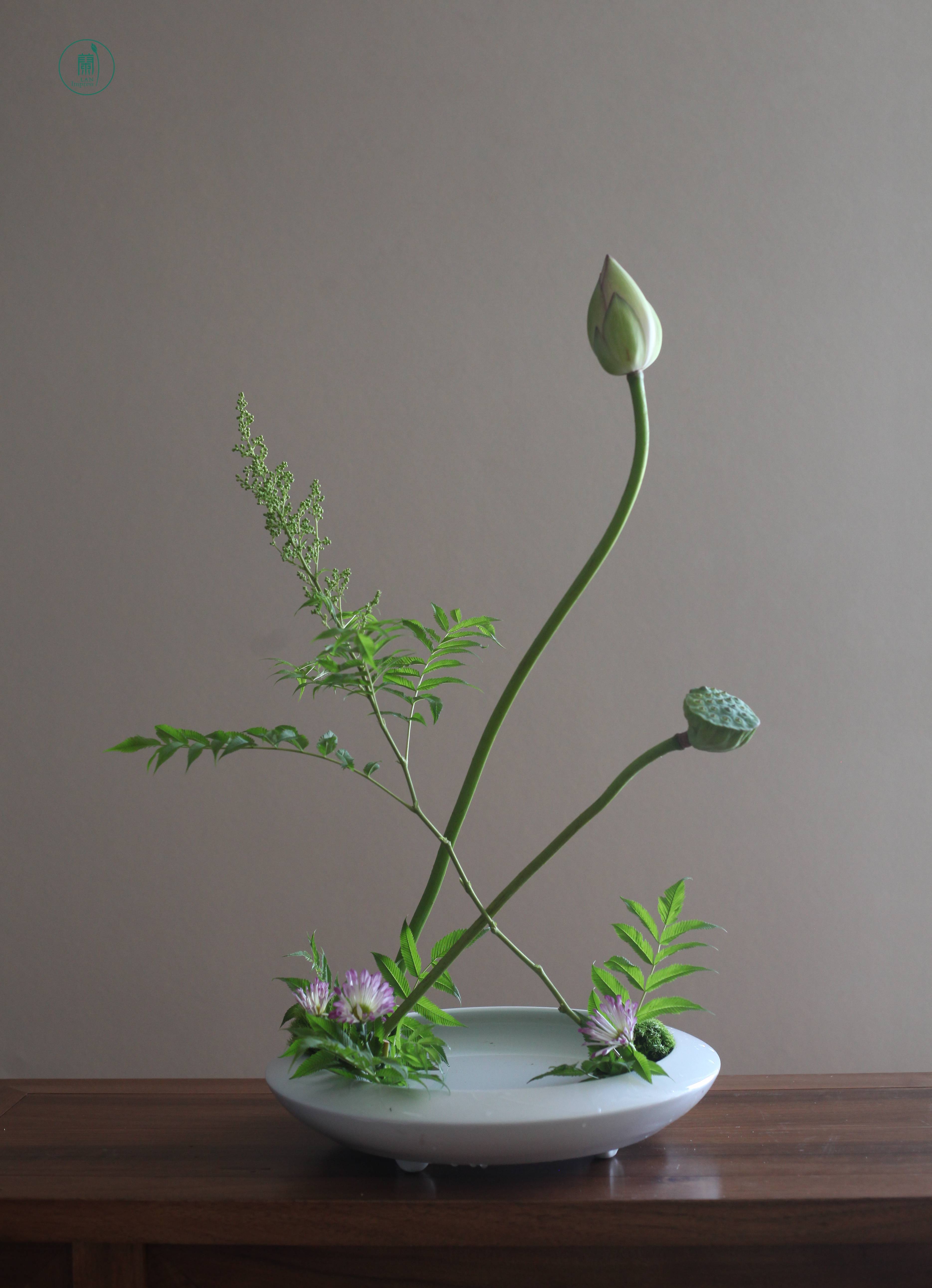 西安蘭印象小原流花道|生活美学课堂