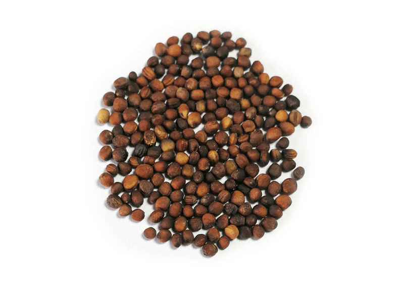 井川65西兰花种子井川65西兰花是早熟杂交西兰花品种.