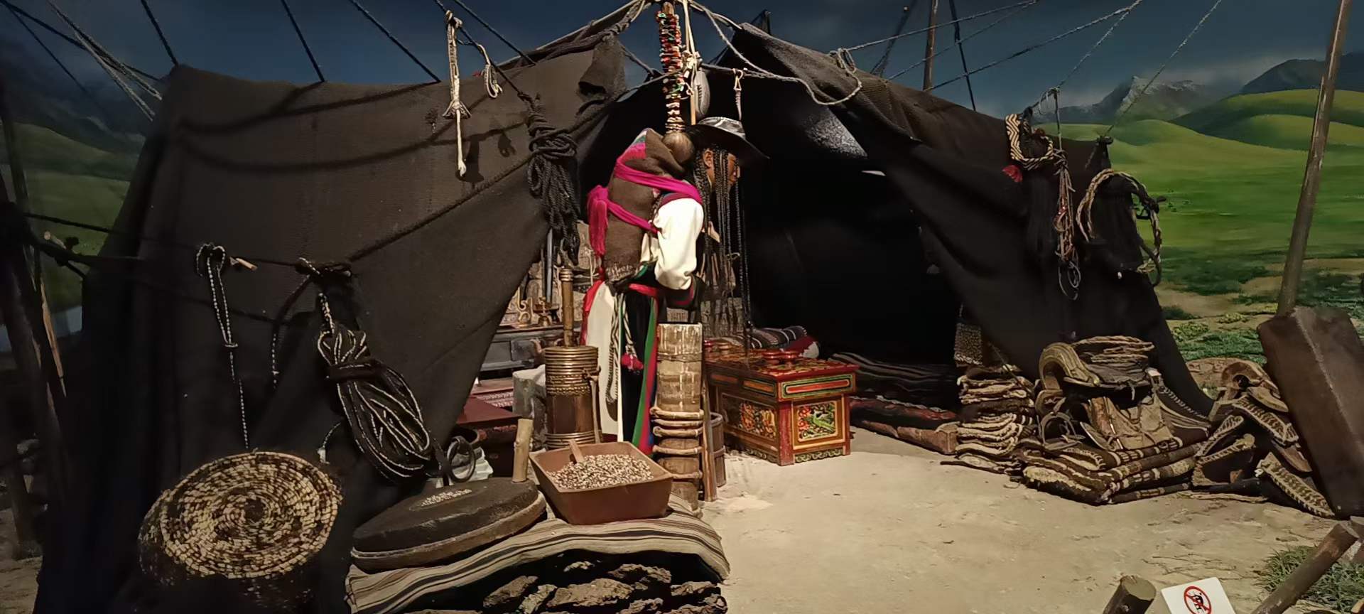 牦牛,藏文化的独特符号_牛皮_帐篷_瑰宝