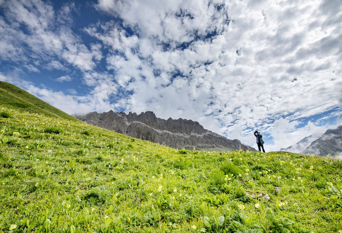 刘国兴2022年7月20日,四川省阿坝州小金县汗牛旅游区迎来盛花季,山花