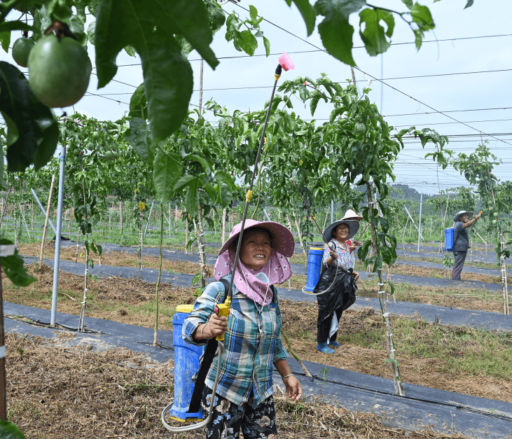 通化串子田家图片