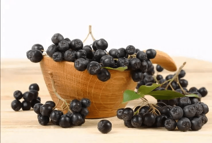 不老莓一种生命力极强的新兴水果