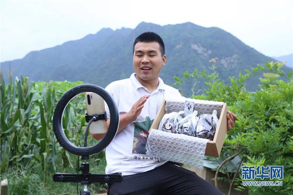 秦岭脚下,"95后"新农人播撒新希望_张宇浩_葡萄园_种植