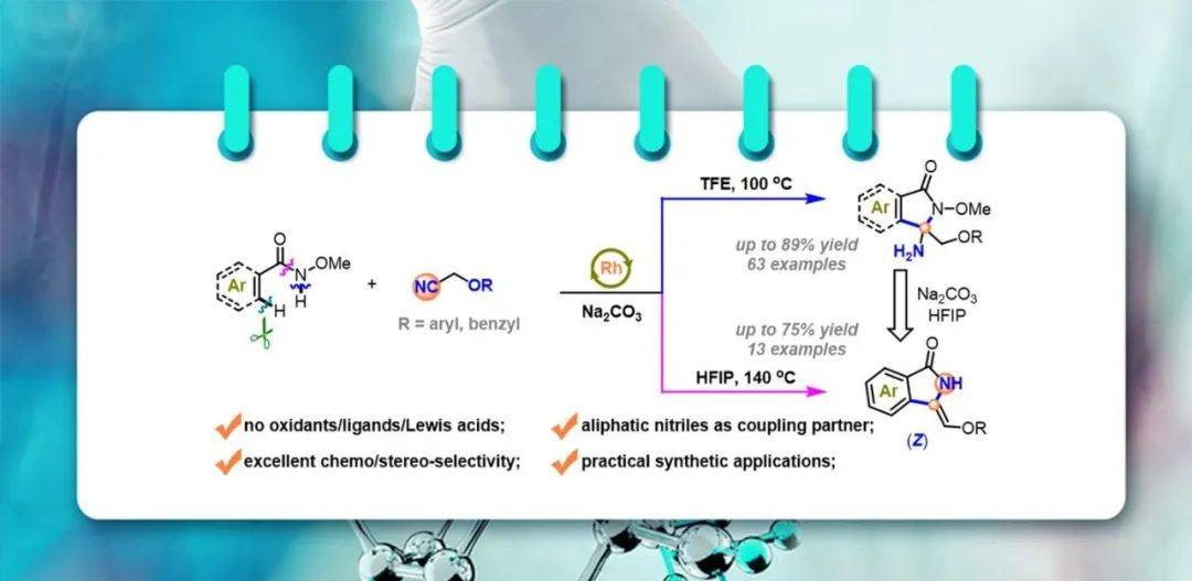 温州大学：铑催化的C(sp2)-H键对乙腈衍生物的亲核加成制备多种γ-内酰胺 