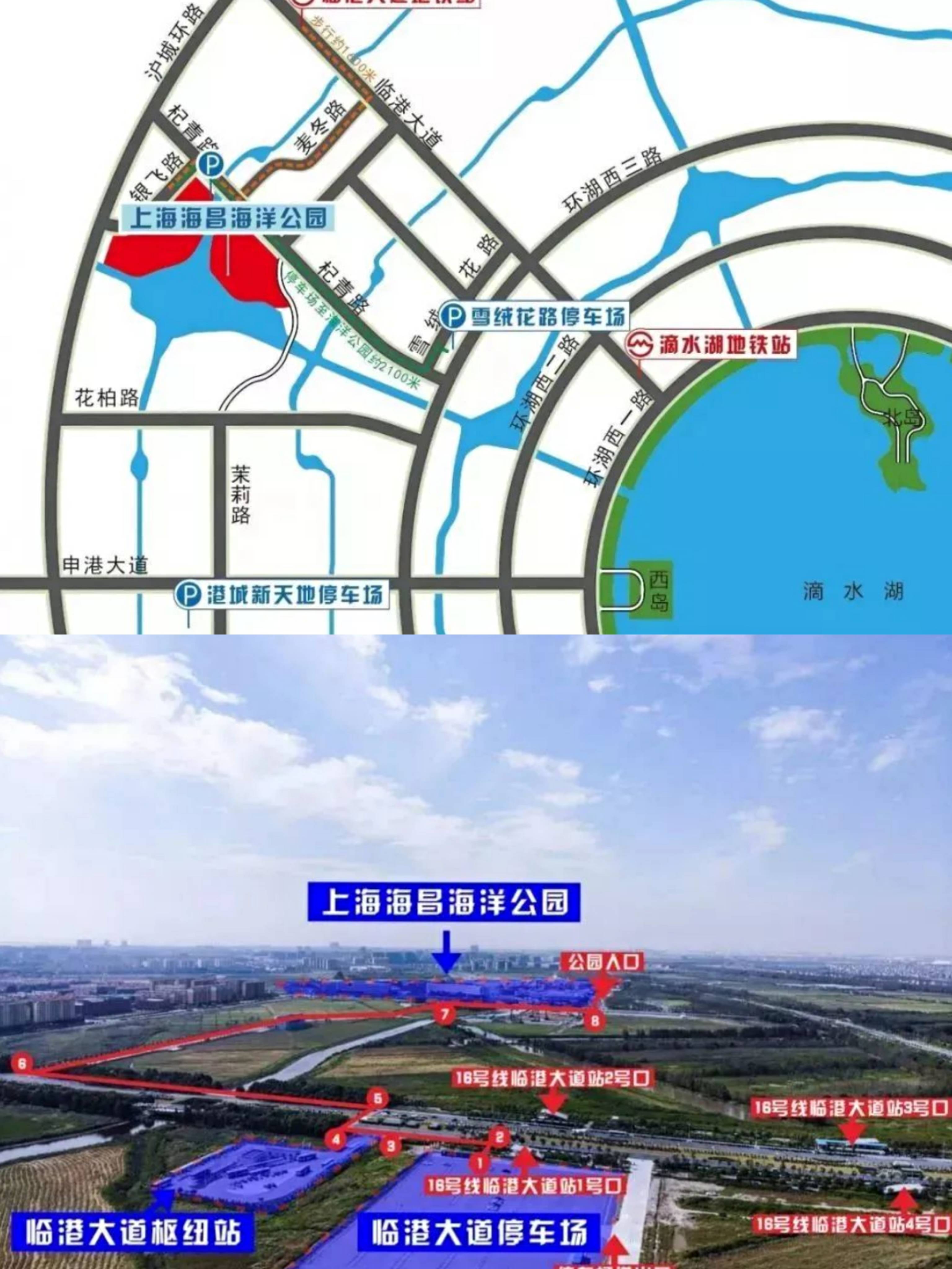 上海海昌海洋公园寄存行李的地方,附最新奥特曼主题馆游玩攻略_海洋之