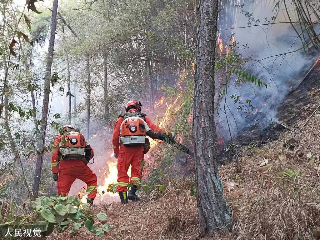他们是离山火最近的人 致敬每一位救火英雄-搜狐大视野-搜狐新闻