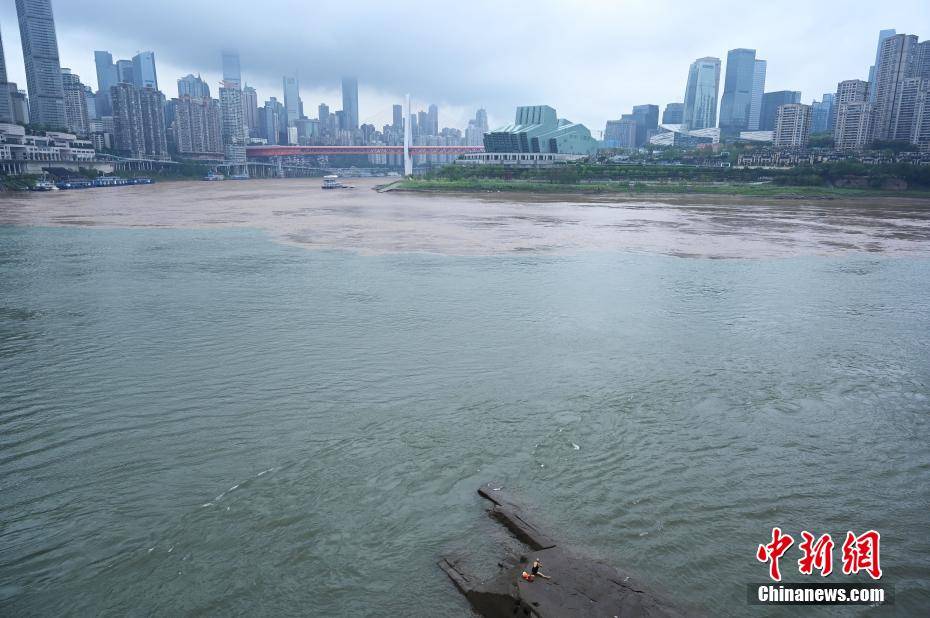 长江嘉陵江涨水重庆两江交汇现鸳鸯锅景观