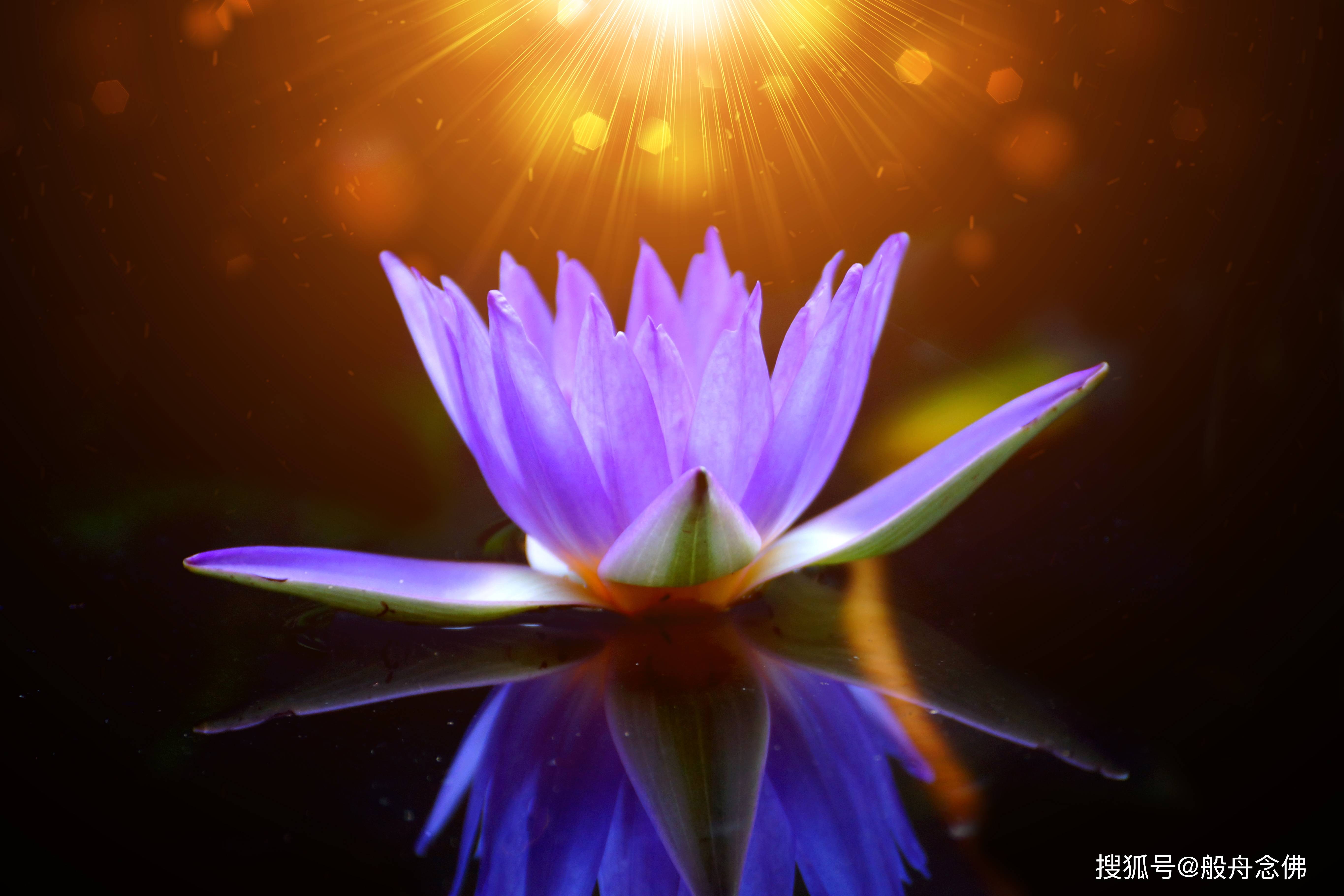 示范_师父_全身