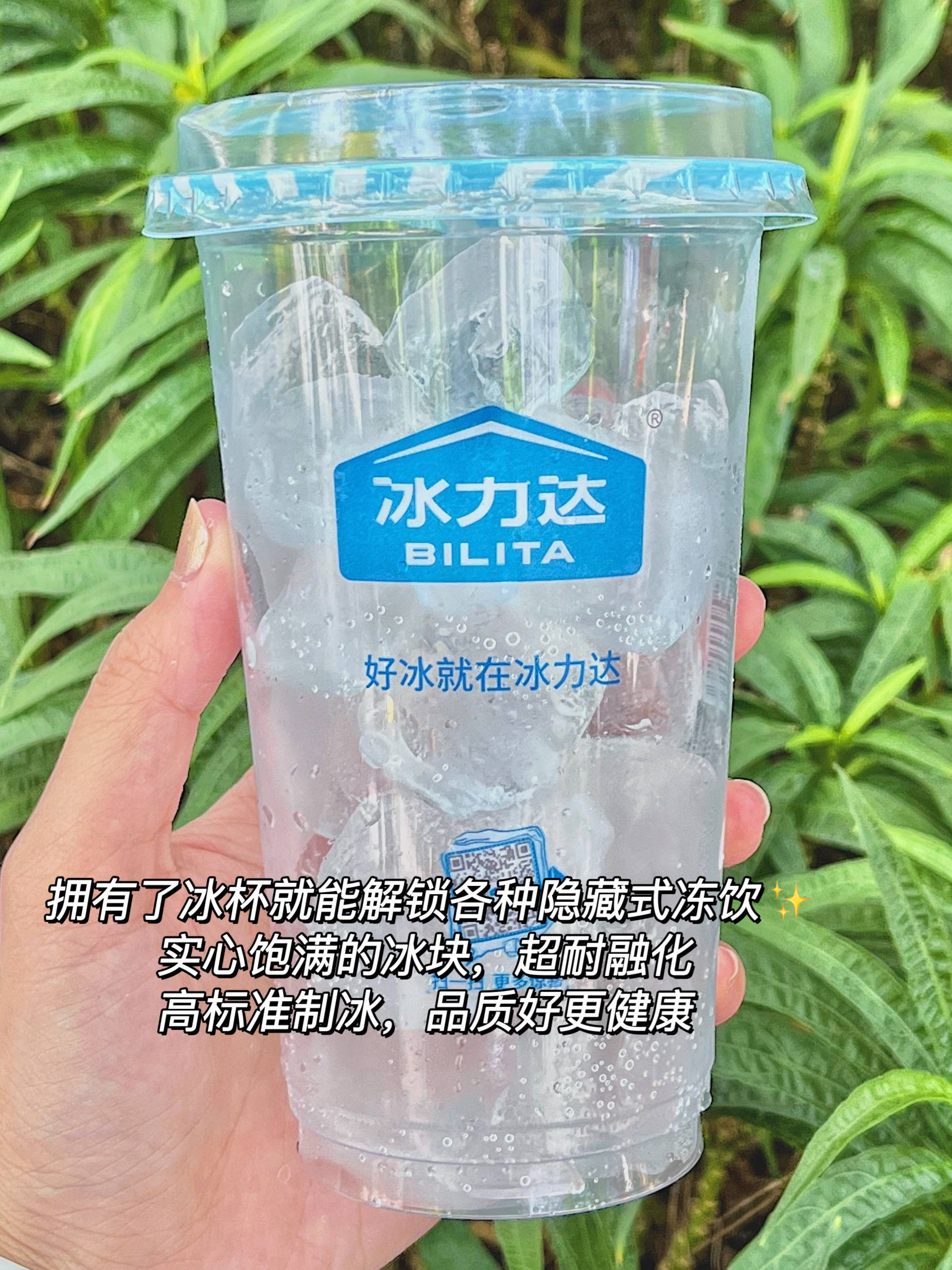 颜值超高的冰力达冰杯,假期出游必备神器!-搜狐大视野-搜狐新闻