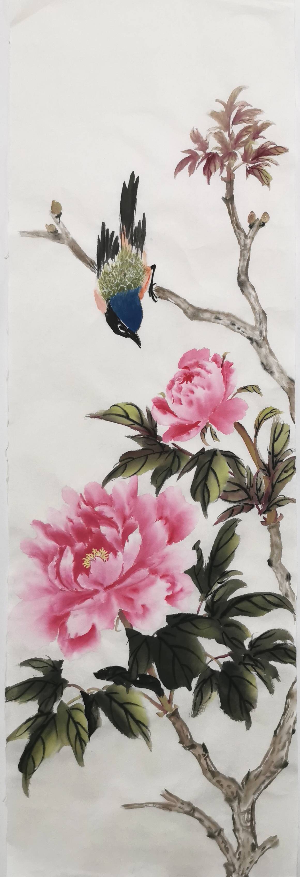 国画牡丹--小写意花鸟画（四条屏）-搜狐大视野-搜狐新闻