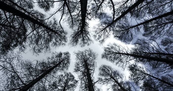 天猫优品发力下沉市场，不能只是京东家电的跟随者-家电圈官网