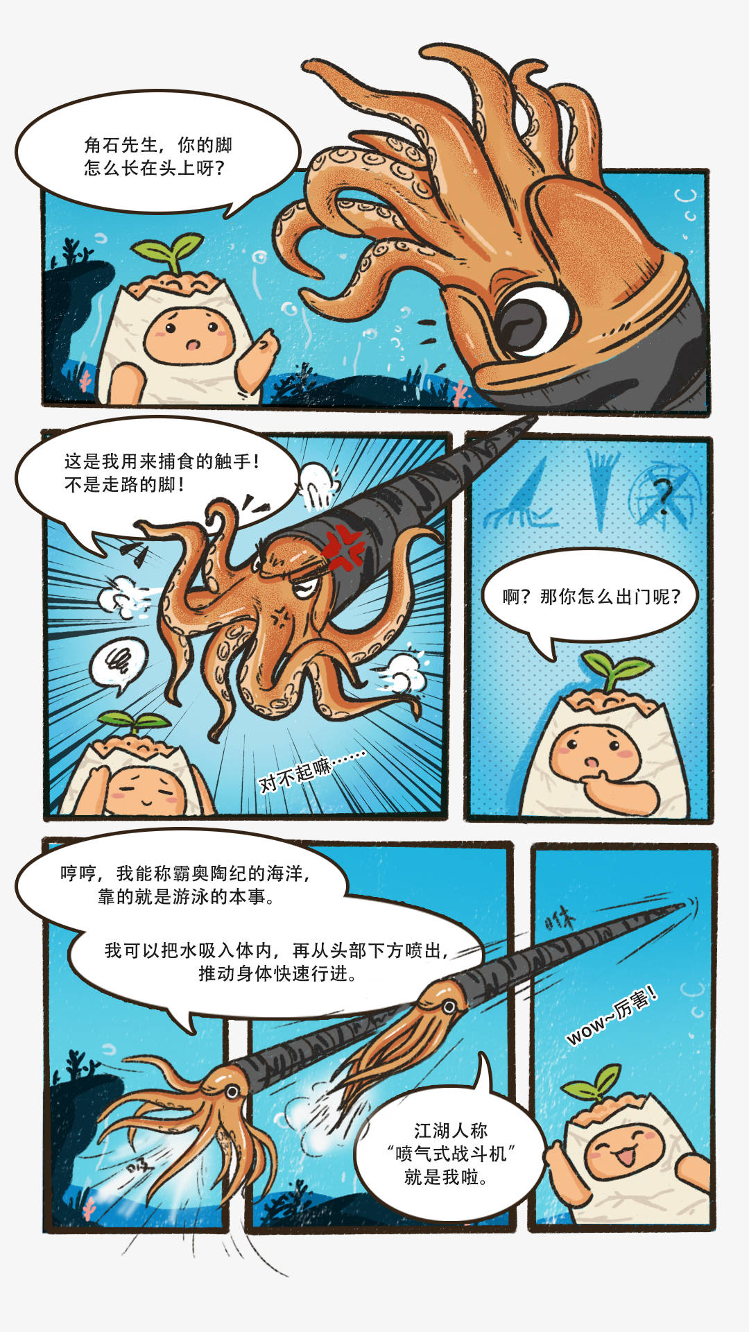 震旦角石 sinoceras头足纲直角石目生存年代:中奥陶世(约4.