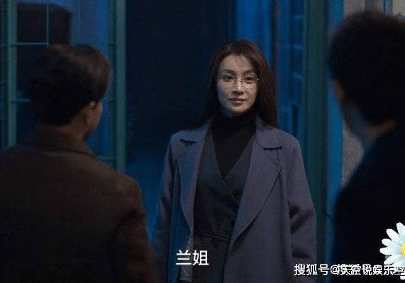 《狂飙》高启兰扮演者是谁？高启兰也是坏的吗_手机搜狐网