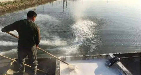 首先介绍生石灰,生石灰清塘除了能够通杀病原体和敌害生物之外,还能