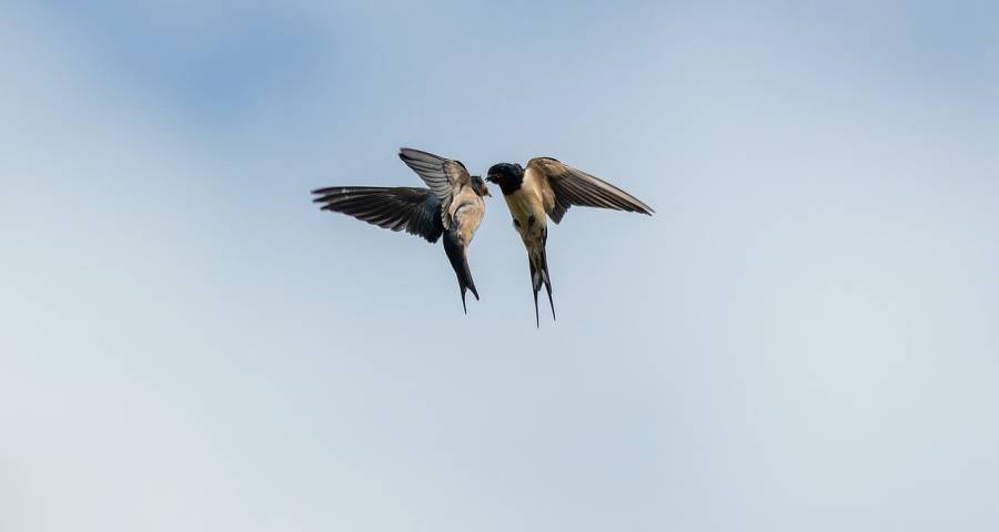 居民存款破纪录下家电消费市场怎么走？-家电圈官网