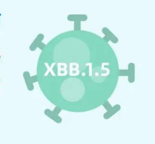 国内首次检出新冠病毒XBB.1.5毒株，具体情况如何？是否会引发二次感染？