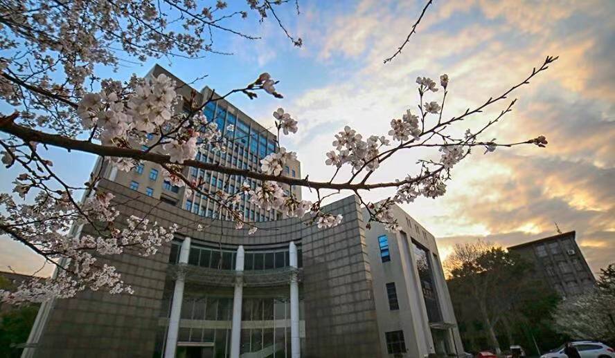 2023年(武汉理工大学4 0国际本科)中英艺术本科项目_威尔士_英国_设计