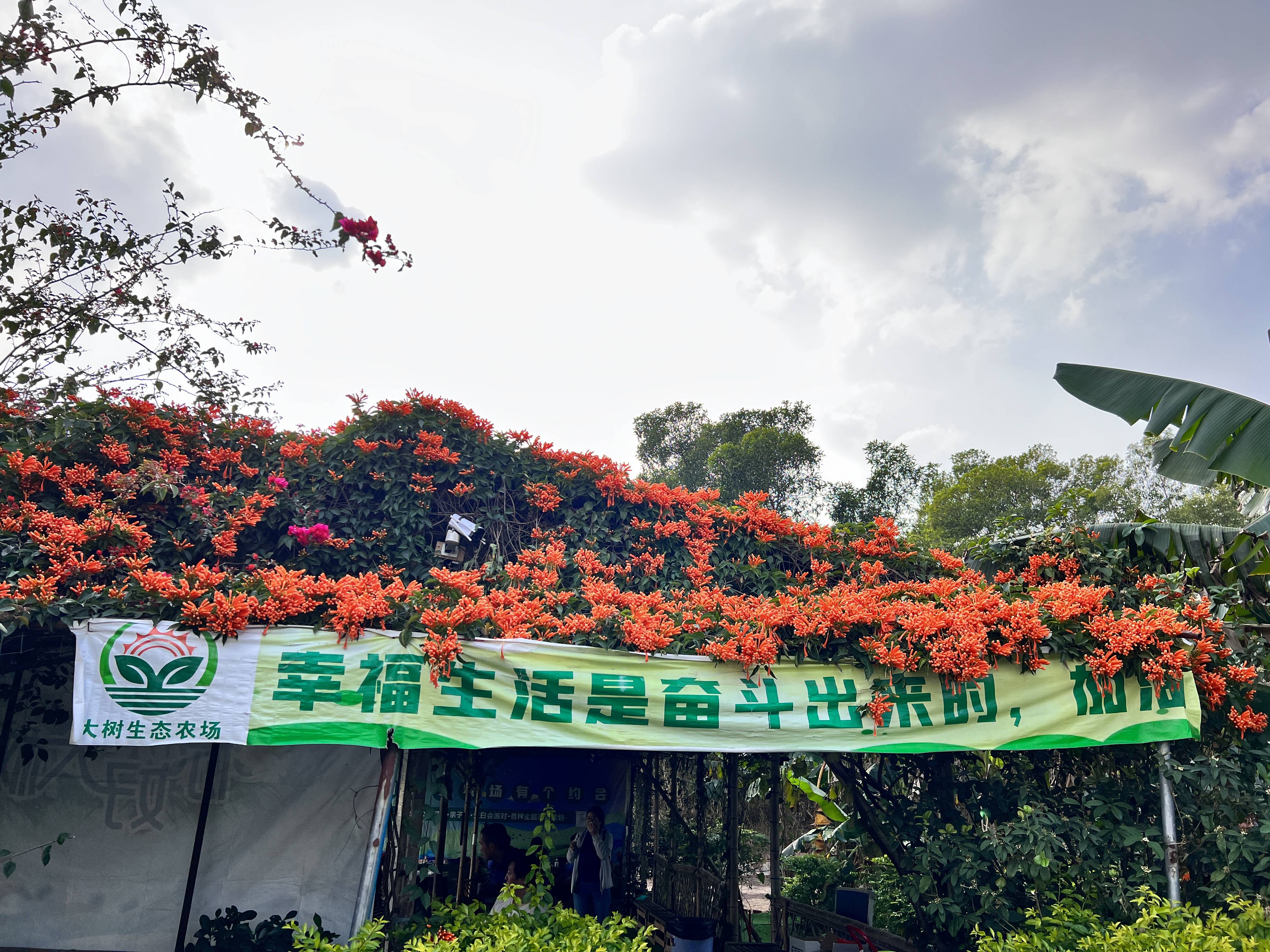 发现一个宝藏农场|深圳农场中的爱马仕|好玩有趣的农家乐|