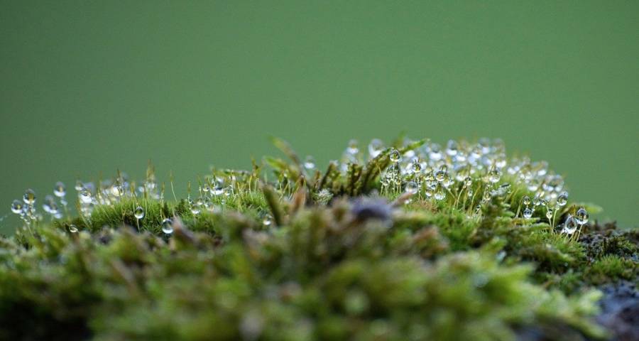 家电业开战:海尔美的秀腹肌,方太华帝拓赛道华为海信京东加速跑-家电圈官网