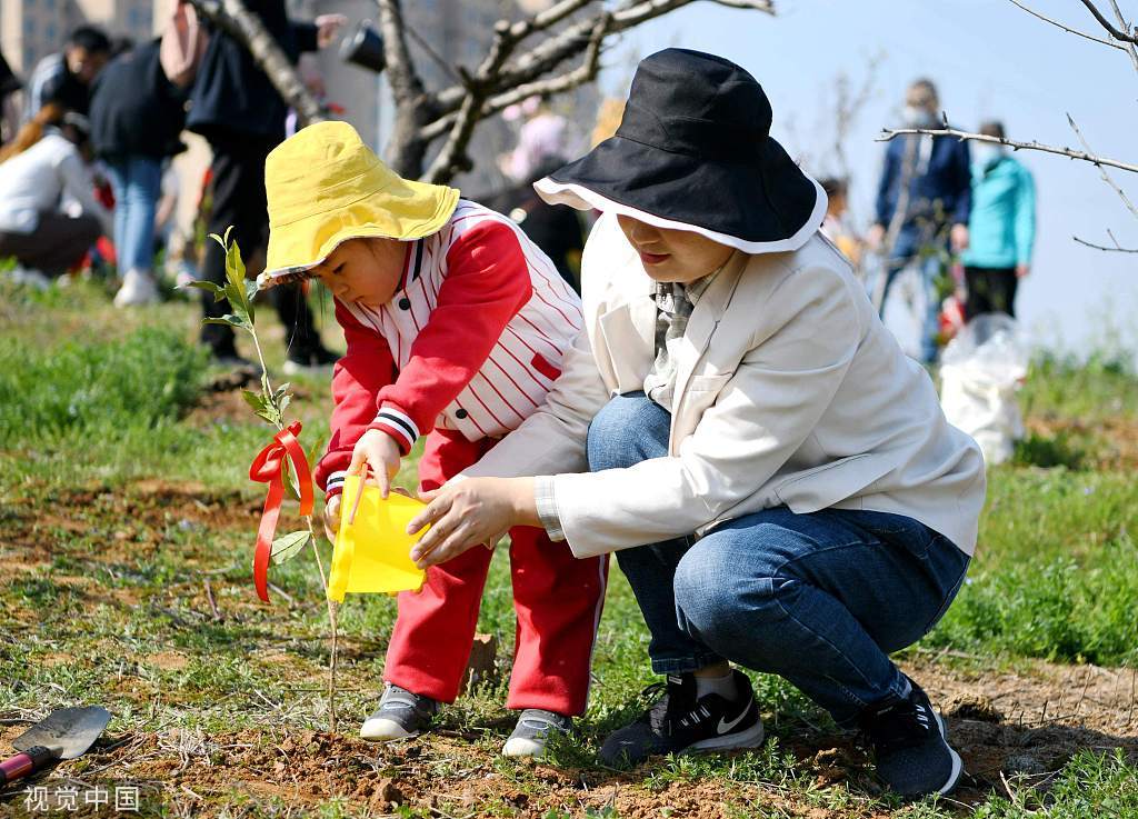 今日植树节：共植一抹绿 不负好春光 搜狐大视野 搜狐新闻