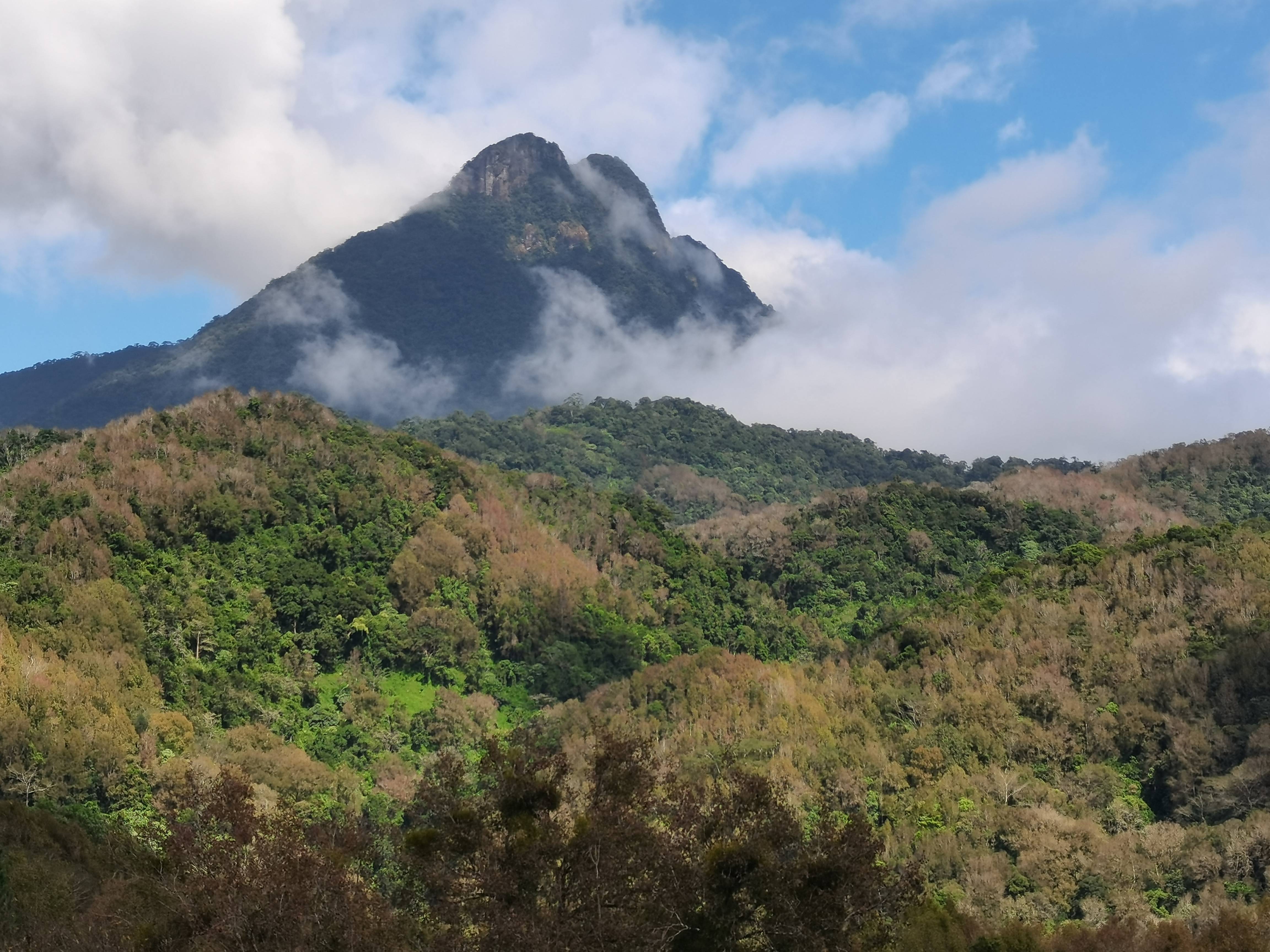 五指山热带雨林景区图片
