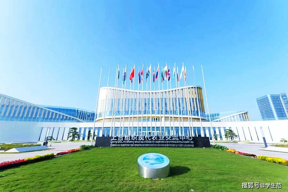 可以理解为以青岛大学为载体承担建立上合经贸发展研究中心的特色学院