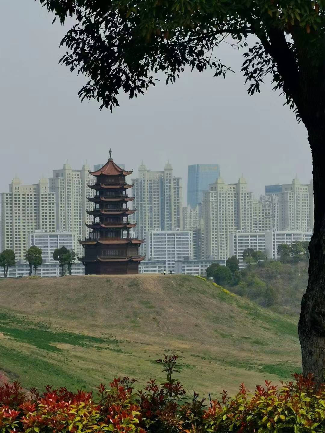 蚌埠龙子湖畔的中国古民居博览园是当地着力打造的大型文旅项目450