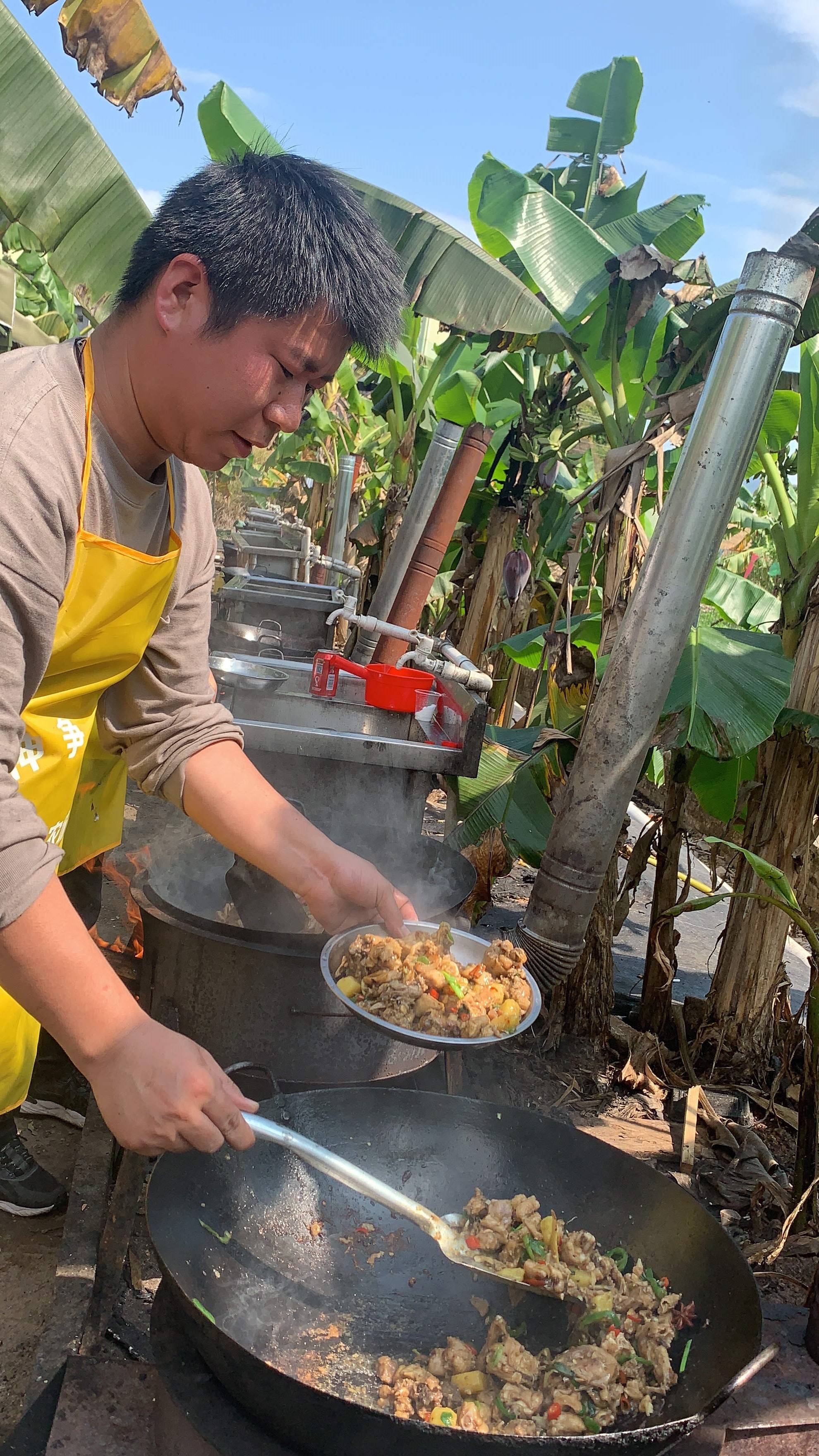 深圳戶外野炊做飯攻略|深圳周邊一日遊|_調料_大樹_生態