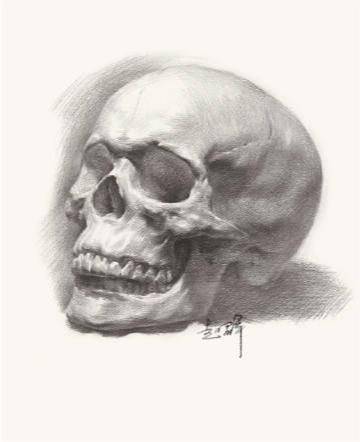 九方艺考 | 素描头骨示范_头部_头像_肌肉