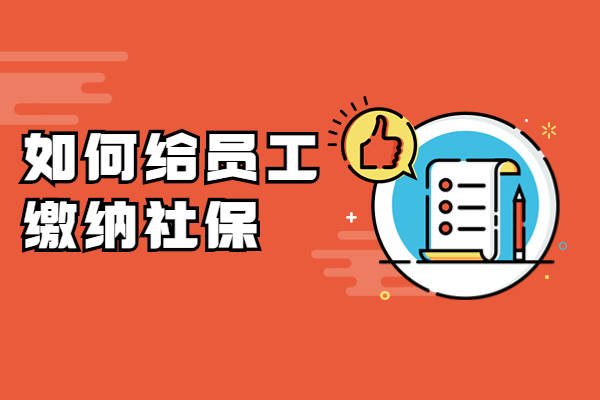 初创公司如何给员工缴纳社保?_专业_处理_人事
